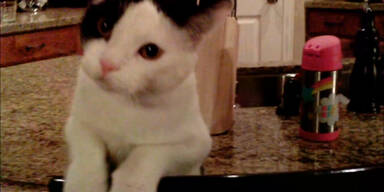 Attacke auf eine Flugdrohne