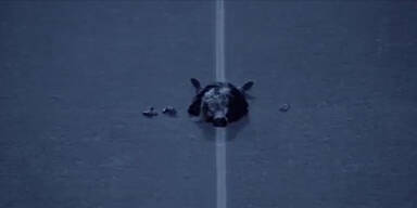 Story des "Cowgirls im Mittelkreis"