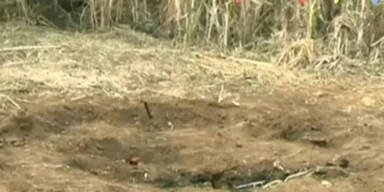 Spekulationen nach Bombenexplosion