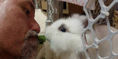 Mann kaut den Salat f&uuml;r seinen Hasen vor