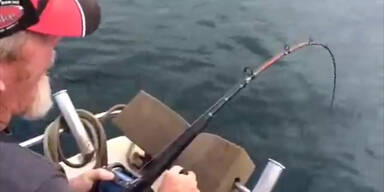 Hai klaut Angler den Fisch