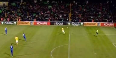 Ibrahimovic duselt Schweden zu Sieg