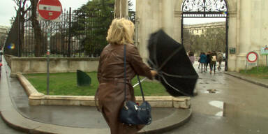 So wappnen sich die Österreicher