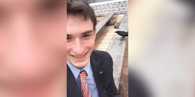 Kr&auml;he schleicht sich an Mann heran