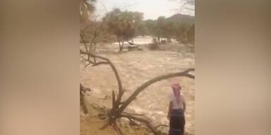 Pkw rettet sich aus Fluss