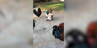 Bub und Huhn verbindet Freundschaft