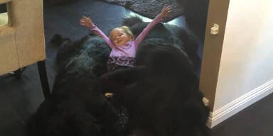 Wortw&ouml;rtlich ein "Hundebett"