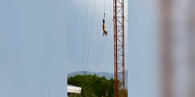 Touristin springt nackt Bungee