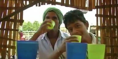 800 Tote wegen Hitzewelle