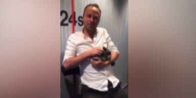 Danach schlug er den Hasen tot!