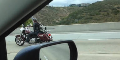 Hund cruist als Rucksack mit