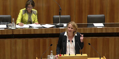 FP&Ouml;-Abgeordnete provoziert