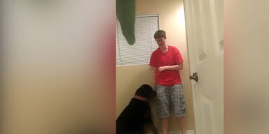 Hund hilft beim Asperger-Syndrom