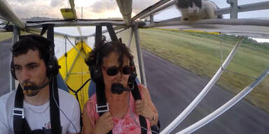 Katze ist blinder Passagier auf Gleiter