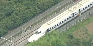 Tote bei Feuer in Schnellzug