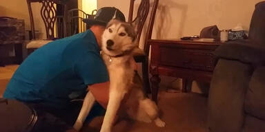 Dieser Hund ist auf Drogen