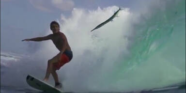 Ninja Fisch "attackiert" Surfer