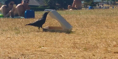 Hitzewelle heute am H&ouml;hepunkt