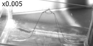 150731_RoboterWasser.Standbild001 - Kopie.jpg