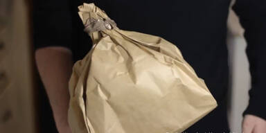 150806_Wespen.Standbild001 - Kopie.jpg