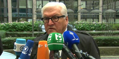 151116_Steinmeier.Standbild001.jpg