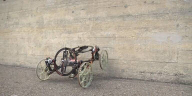 151230_RoboterDisney.Standbild001.jpg