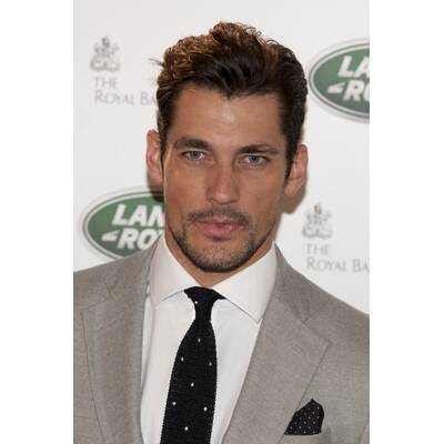 David Gandy