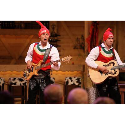 Die Jungen Zillertaler