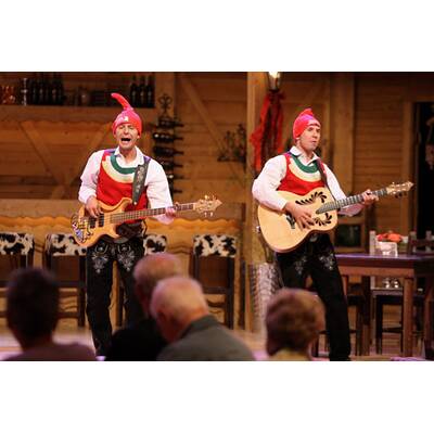 Die Jungen Zillertaler