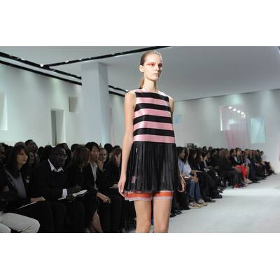 Dior F/S 2013