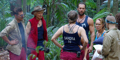 Dschungelcamp, Tag 12