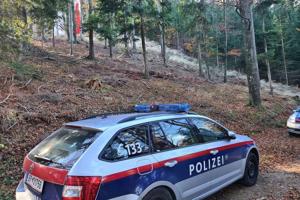 Drama in NÖ: Heißluftballon mit 9 Personen abgestürzt