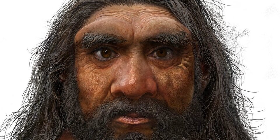 Wissenschaft steht Kopf: Millionen Jahre alter Schädel wirbelt Menschheitsgeschichte durcheinander