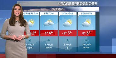 Die 4-Tagesprognose