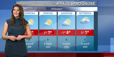 Die 4-Tagesprognose