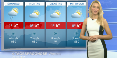 Die 4-Tagesprognose