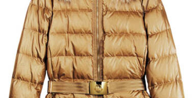 Die besten Winterbegleiter