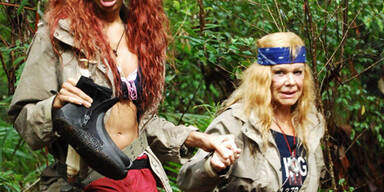 Dschungel-Prüfung: Nur ein Stern für Nico