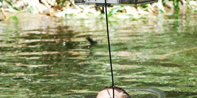 Dschungel-Prüfung: Nur ein Stern für Nico