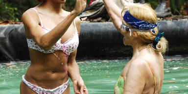 Dschungel-Prüfung: Nur ein Stern für Nico