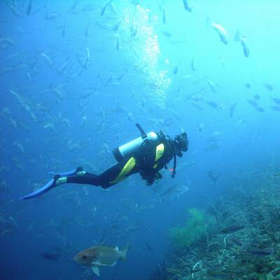 Beste Schi-Destination