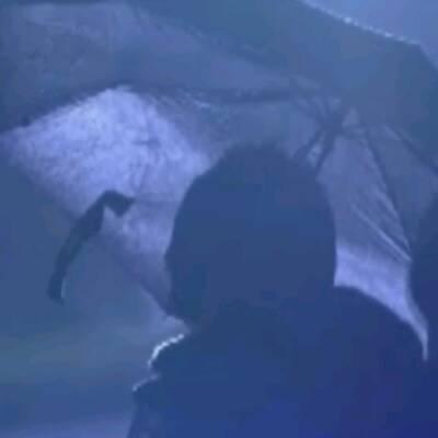 Bilder vom Sommernachtskonzert