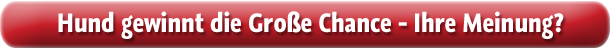 Show-Hund gewinnt die Große Chance