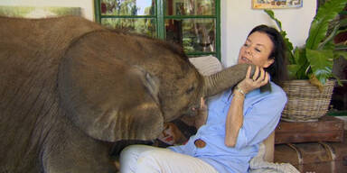 160212_BabyElefantZuHause.Standbild001 - Kopie.jpg