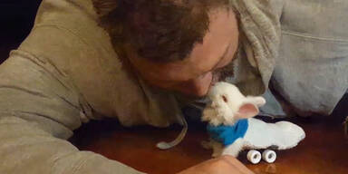 160224_HaseAufRollen.Standbild002 - Kopie.jpg