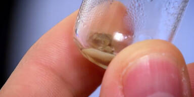 160324_Menschenfleisch.Standbild001 - Kopie.jpg