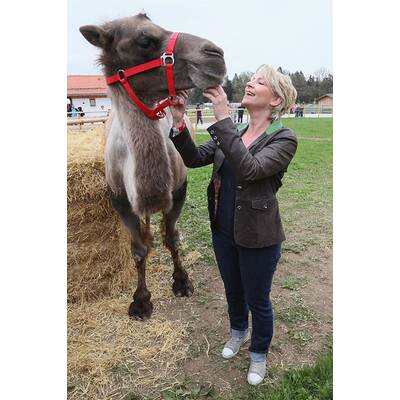 Claudia Jung: Die schönsten Bilder der Schlagersängerin