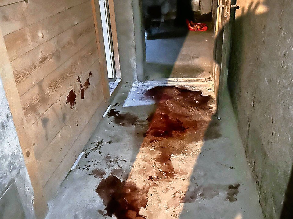 Mord Mürzzuschlag Sabine