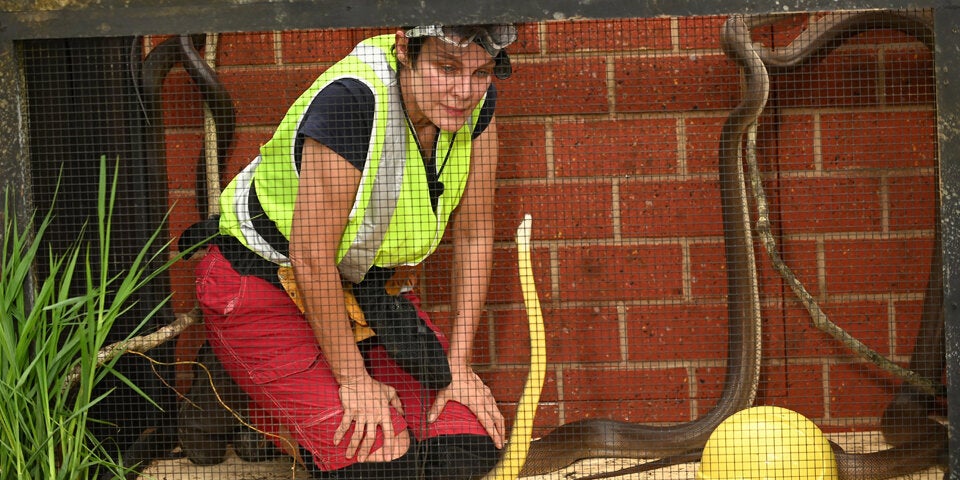 Sonja Kirchberger Dschungelcamp