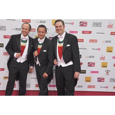 Die Jungen Zillertaler